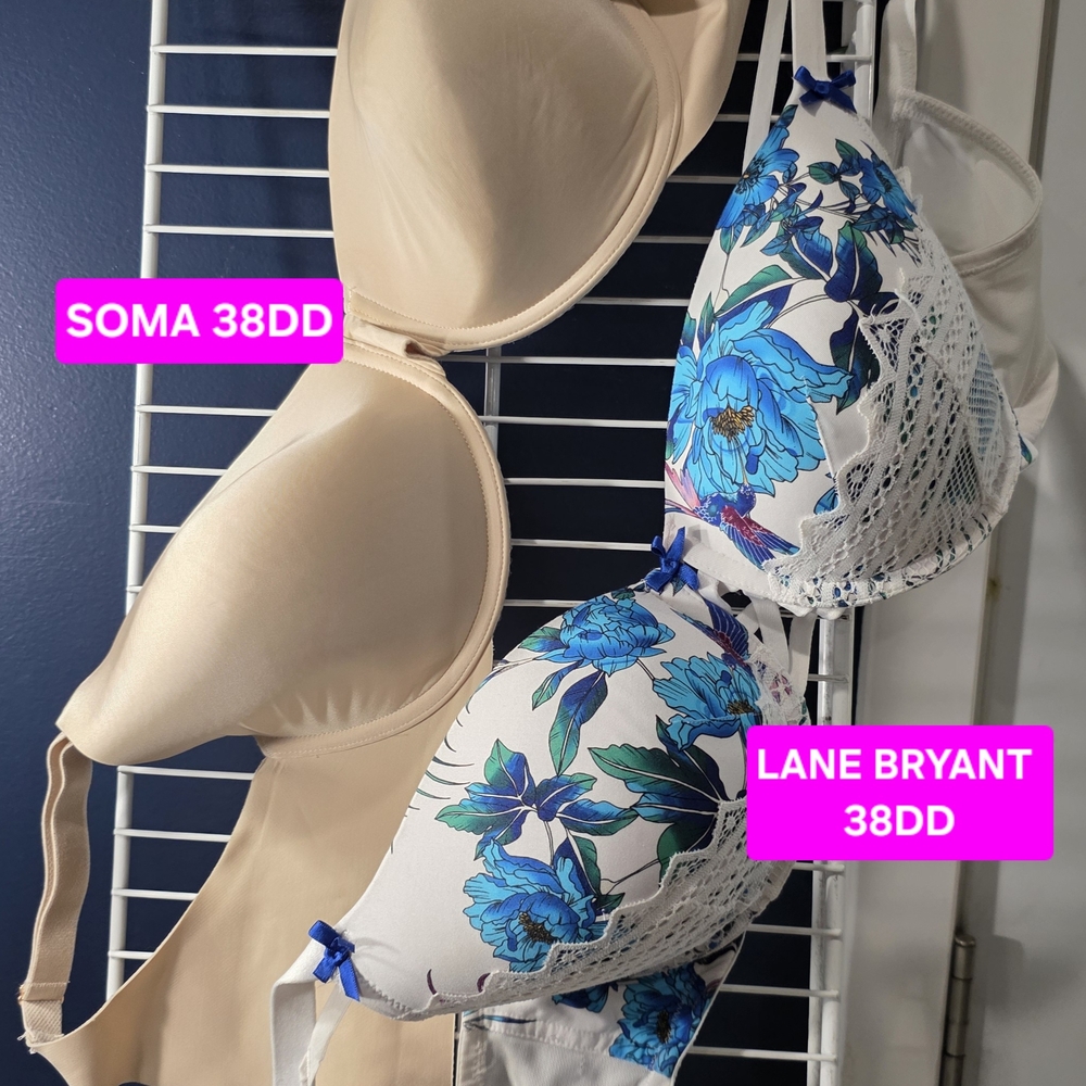 Lane Bryant White and Blue Floral Lace Bra